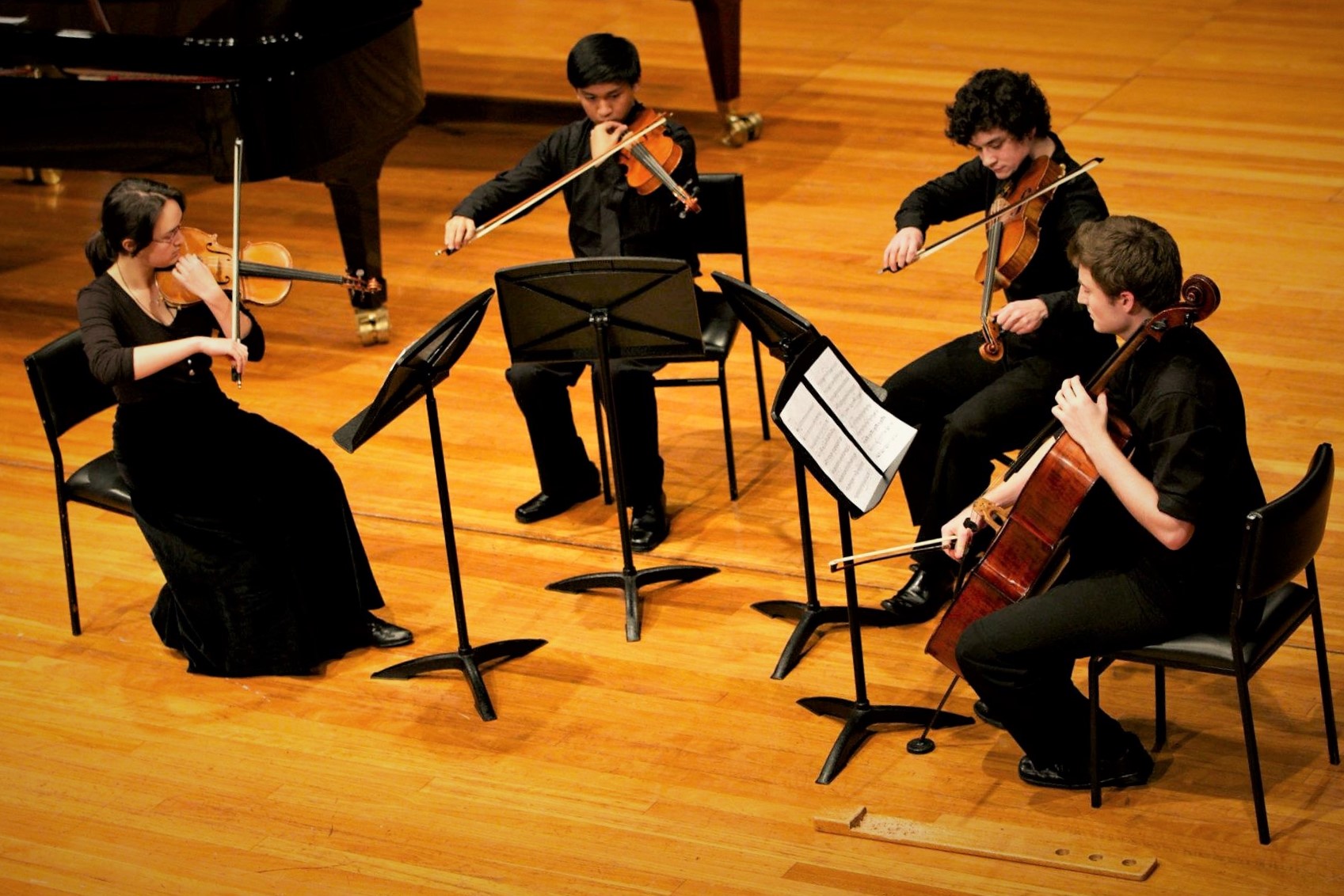 Edensor Park Strings and Piano Sydney Music Teachers