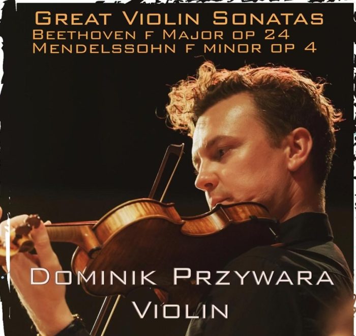Professional, Insipiring and Revolutionary Violin and Viola lessons
